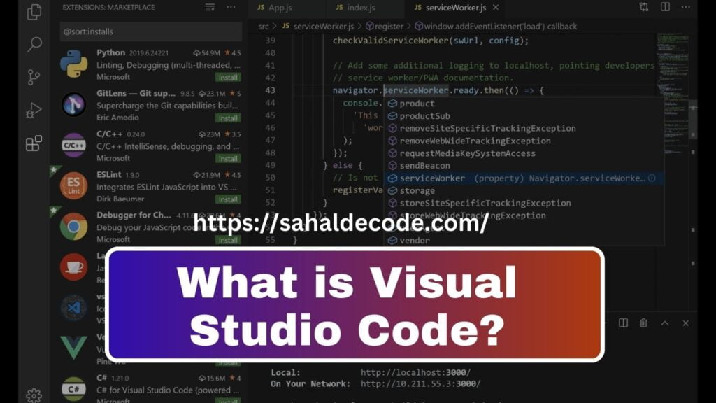 VS Code | Python programming software